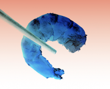 LAS EXPORTACIONES INDIAS DEL 3T AUMENTARON UN 6%. 2023 AÑO-TOTAL 2% POR DELANTE DE 2022 Y SÓLO 1% POR DETRÁS DE 2021